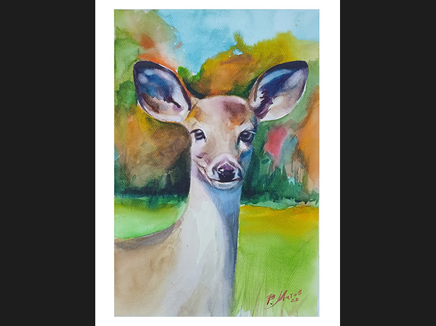 Doe